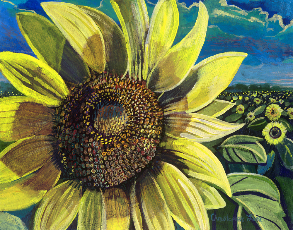 Sunflowers 24" x 30"