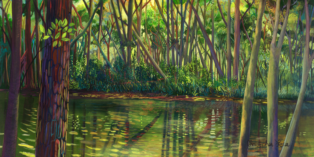 Woodland Pond-Inspiration