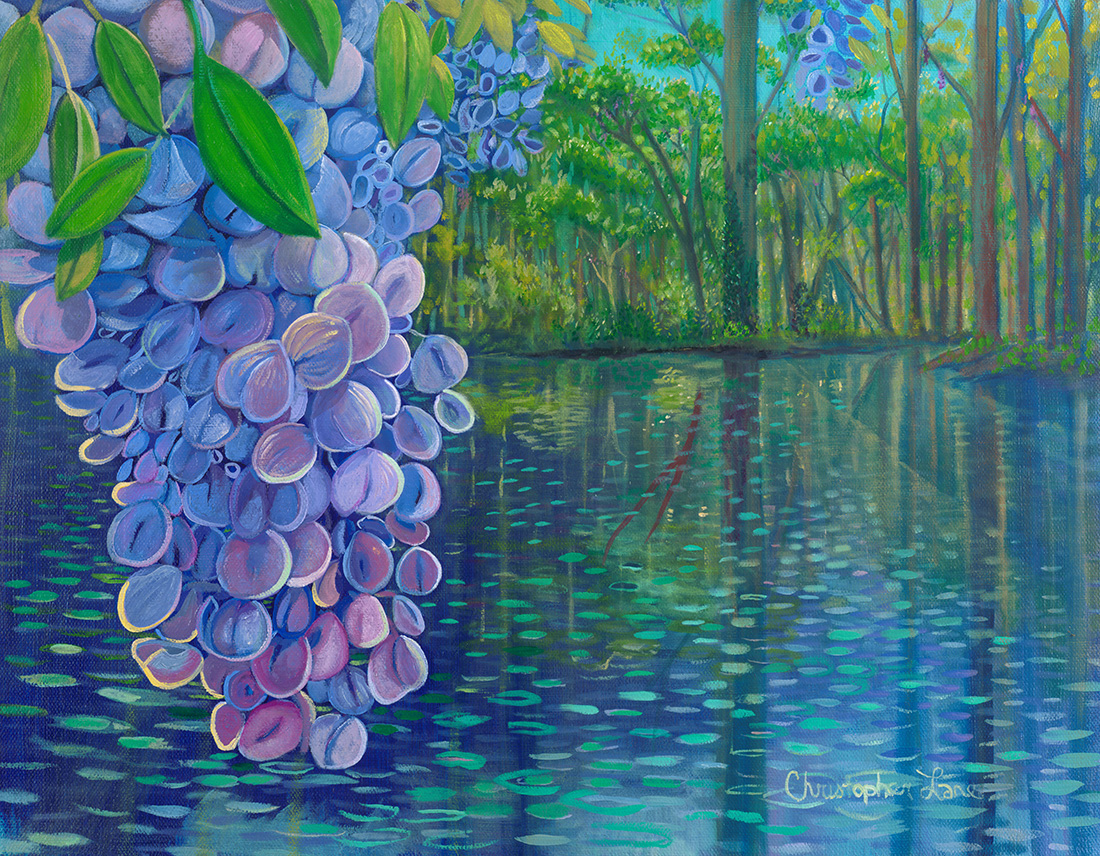 Wisteria Dreams